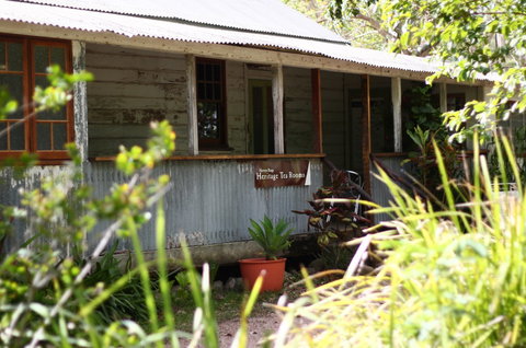 Herveys Range Heritage Tea Rooms - Holiday Sunshine Coast 3