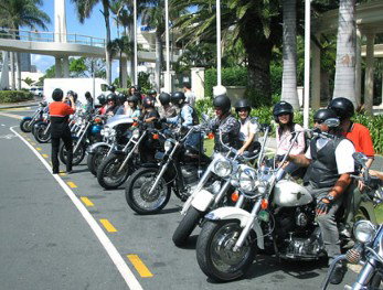 Wildfire Tours - Sunshine Coast Tourism 1