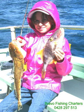 Bravo Fishing Charters - Sunshine Coast Tourism 5