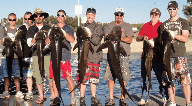 BKs Gold Coast Fishing Charters - Holiday Sunshine Coast 1
