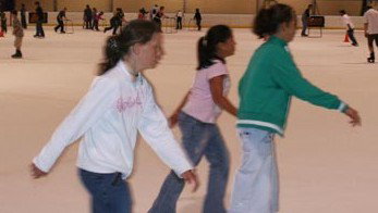 Hunter Ice Stadium - Holiday Sunshine Coast 4