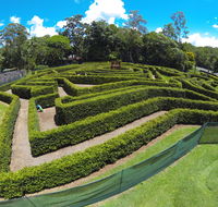 Bellingham Maze