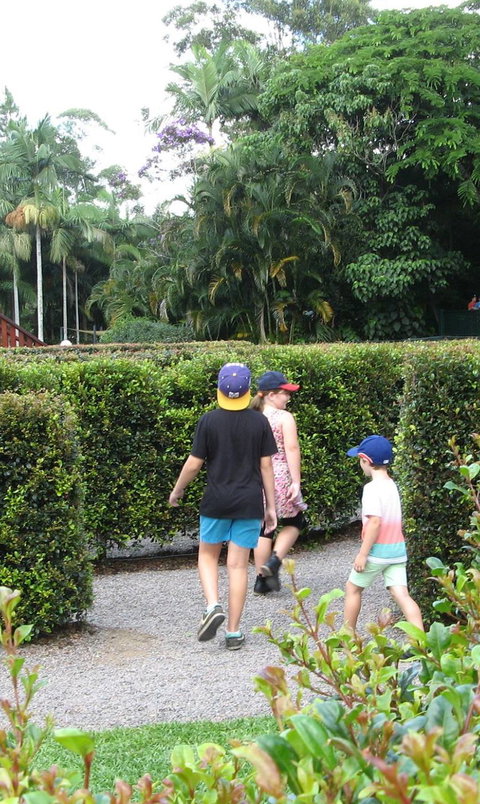 Bellingham Maze - Sunshine Coast Tourism 2