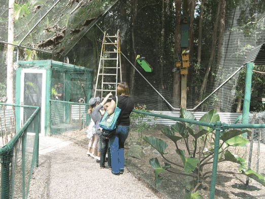 Bellingham Maze - Sunshine Coast Tourism 7