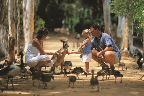 Billabong Sanctuary - Holiday Sunshine Coast 0