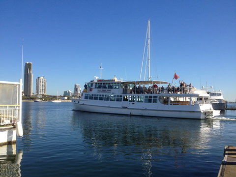 Brisbane Cruises - Sunshine Coast Tourism 1
