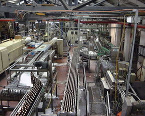 Cascade Brewery Tour - Sunshine Coast Tourism 2