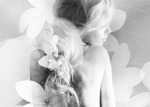 Elysium- A Place Of Beauty - Holiday Sunshine Coast 1