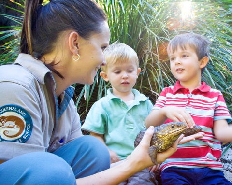 David Fleay Wildlife Park - Sunshine Coast Tourism 3