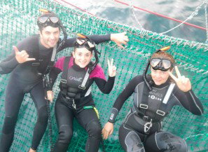 Dolphin Swim Australia - Holiday Sunshine Coast 7