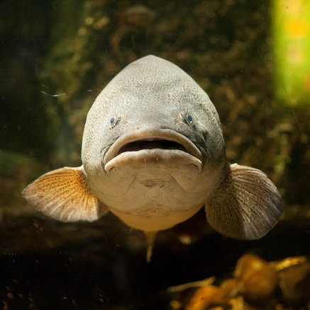 Melbourne Aquarium - Holiday Sunshine Coast 5