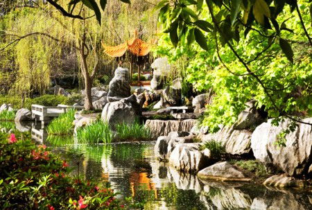 Chinese Garden Of Friendship - Holiday Sunshine Coast 3