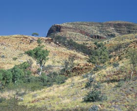 Mount Newman - Sunshine Coast Tourism 0