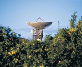 Big Dish - Holiday Sunshine Coast 0