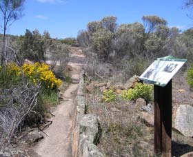 Christmas Rock Walk - Sunshine Coast Tourism 0
