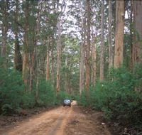 Boranup Drive - Sunshine Coast Tourism