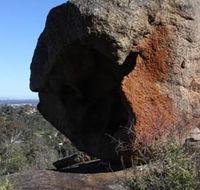 Eagle's View Walk John Forrest National Park - Sunshine Coast Tourism
