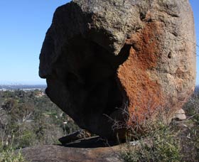 Eagle's View Walk, John Forrest National Park - Sunshine Coast Tourism 0
