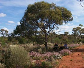 Karlkurla Bushland Park - Sunshine Coast Tourism 0
