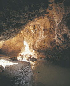 Tunnel Creek National Park - Holiday Sunshine Coast 0