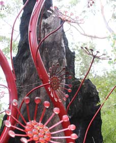 Meerup WA Holiday Sunshine Coast