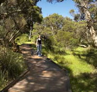 Leschenault Peninsula Conservation Park - Sunshine Coast Tourism
