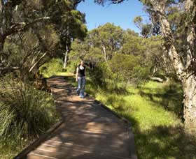 Leschenault Peninsula Conservation Park - Holiday Sunshine Coast 0