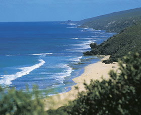 Yallingup Beach - Sunshine Coast Tourism 0