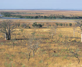 Marglu Billabong - Holiday Sunshine Coast 0