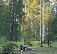 Big Brook Arboretum - Sunshine Coast Tourism
