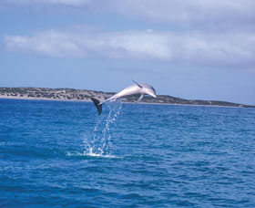 Steep Point - Sunshine Coast Tourism 0