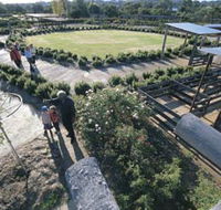 Kojonup Rose Maze - Sunshine Coast Tourism