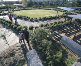 Kojonup Rose Maze - Holiday Sunshine Coast 0