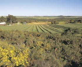 Chapman Valley Scenic Drive - Sunshine Coast Tourism 0