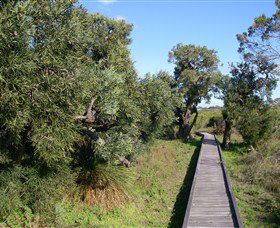Kepwari Trails Wetland Wonderland - Sunshine Coast Tourism 0