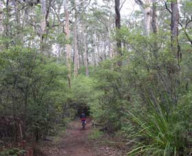  Sunshine Coast Tourism