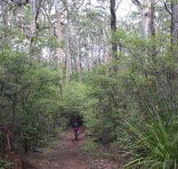 Margaret River Rails Trail - Sunshine Coast Tourism