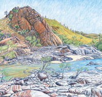 Red Dirt Arts - Sunshine Coast Tourism