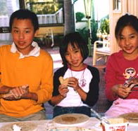 Peel Pottery - Holiday Sunshine Coast