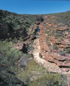 Ross Graham Lookout - Holiday Sunshine Coast 0