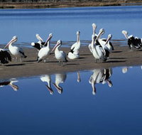 Peel Region Canoe Trails - Holiday Sunshine Coast