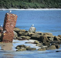 Whalers Beach - Holiday Sunshine Coast