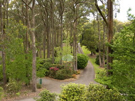 Mount Lofty Botanic Garden - Sunshine Coast Tourism 0