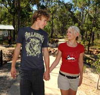 Crooked Brook Forest - Sunshine Coast Tourism