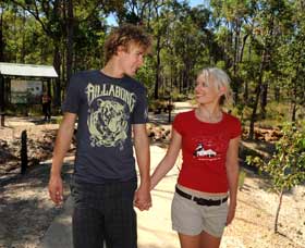 Crooked Brook Forest - Holiday Sunshine Coast 0