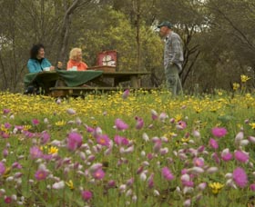 Gwambygine Park - Sunshine Coast Tourism 0