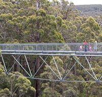 Walpole Wilderness Discovery Centre - Sunshine Coast Tourism