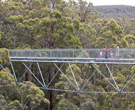 Walpole Wilderness Discovery Centre - Holiday Sunshine Coast 0