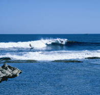 West End - Holiday Sunshine Coast