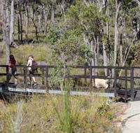 Forest Path Crooked Brook - Sunshine Coast Tourism